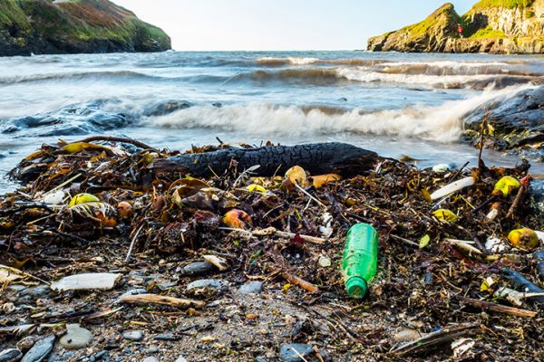 history of water pollution history of water pollution