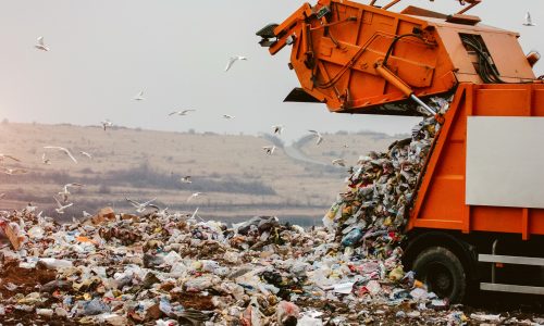 Sustainability is not just a buzzword Sustainability is not just a buzzword